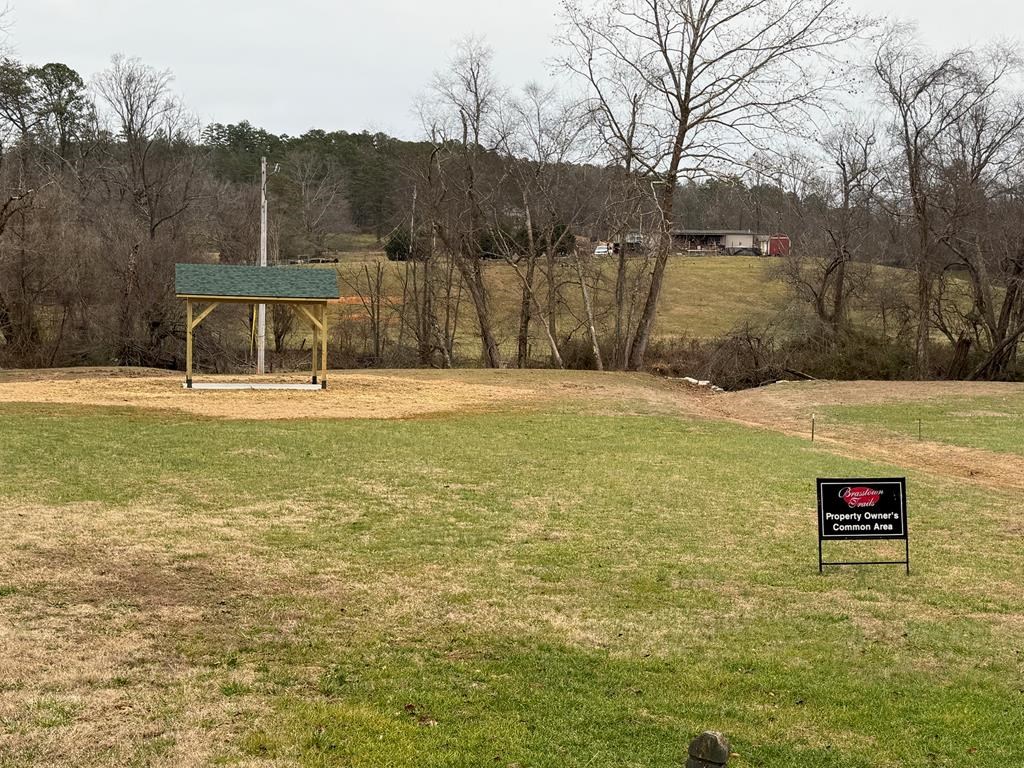 Lot 50 Brasstown Trails