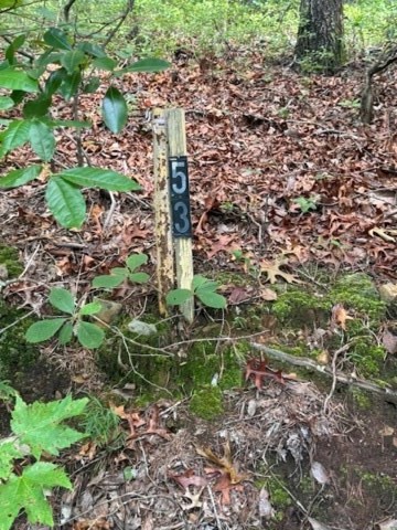 10.96 Ac Paramount Trail