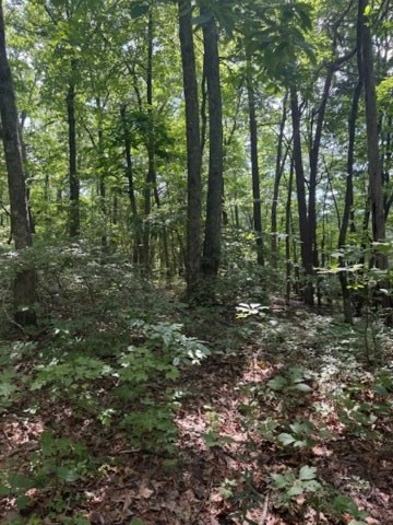 10.96 Ac Paramount Trail