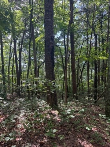 10.96 Ac Paramount Trail