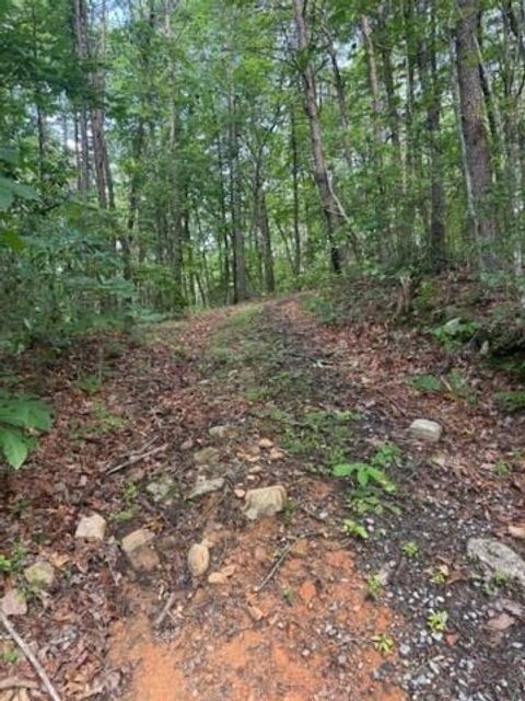 10.96 Ac Paramount Trail Ellijay GA 30536