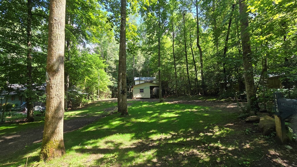 1536 Creek Road