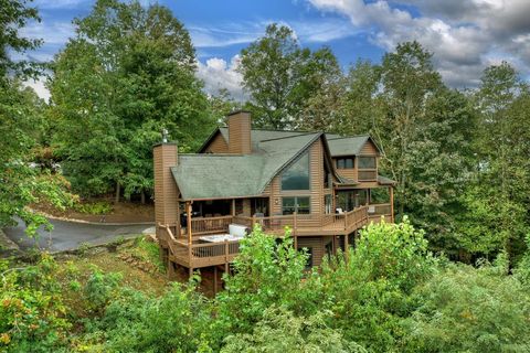 A home in Mineral Bluff