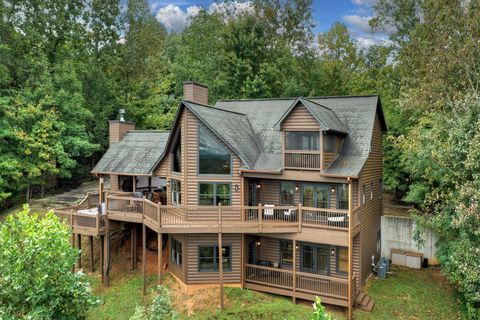 A home in Mineral Bluff