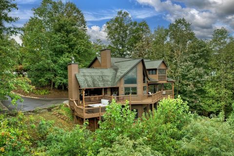 A home in Mineral Bluff