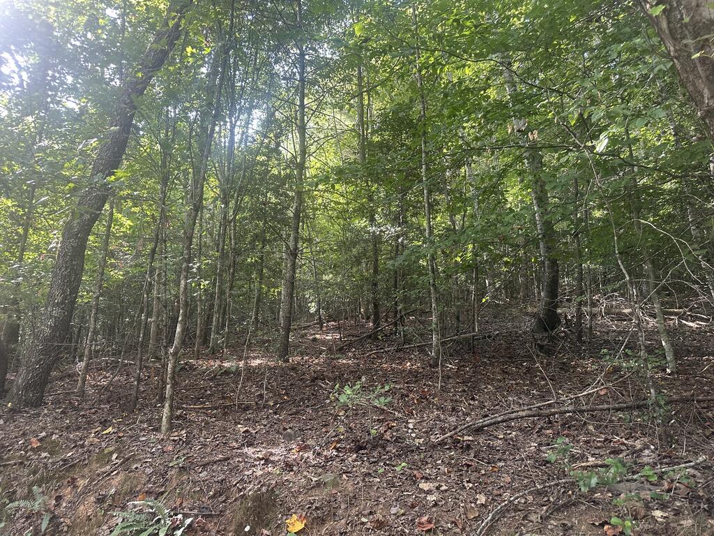000 Brendle Cove Lane