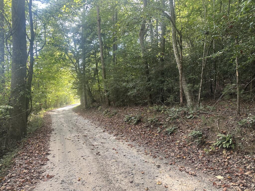 000 Brendle Cove Lane