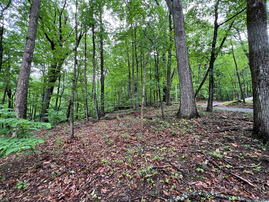 0 Sassafras Court