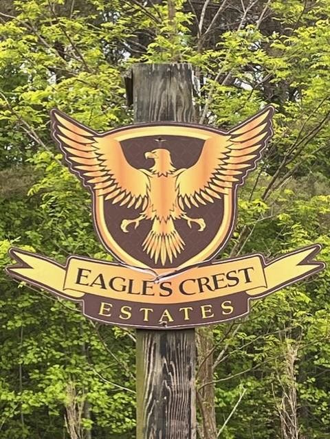 Lot 60 Cartecay View Lane Ellijay GA 30536