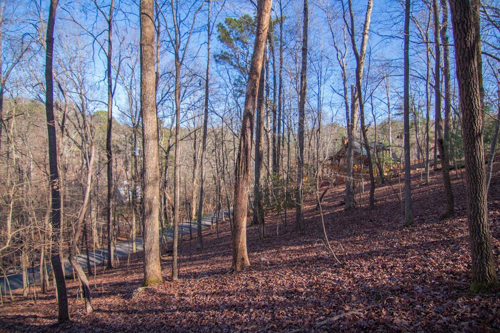 Lot 478 Navaho Way