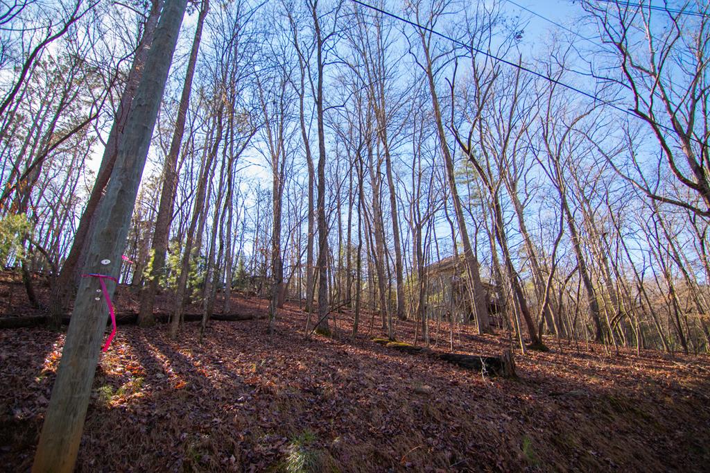 Lot 478 Navaho Way