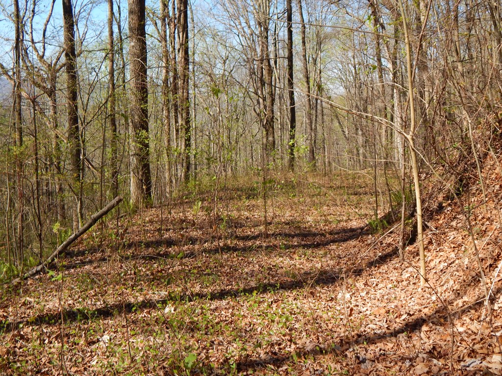 12-2,15& Burnt Leaf Lane