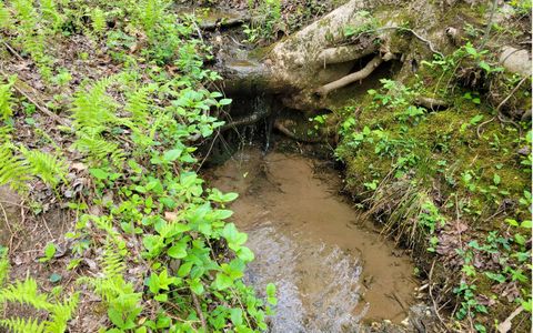 LOT27 Oak Ridge Way Ellijay GA 30536