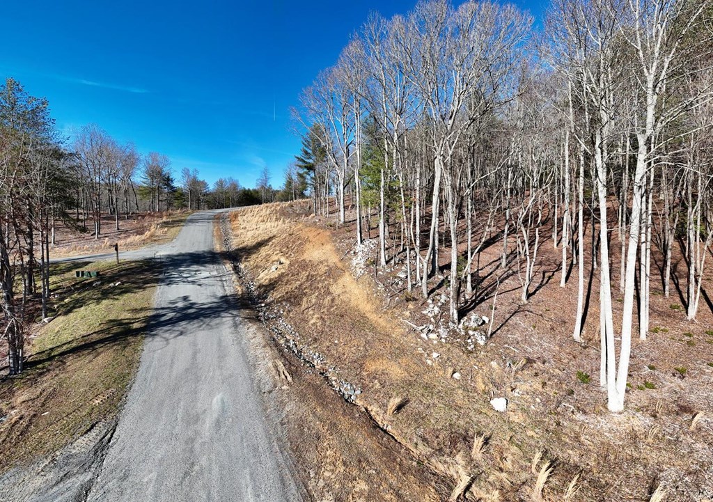 Lot 2 Ridges Of Blue Ridge