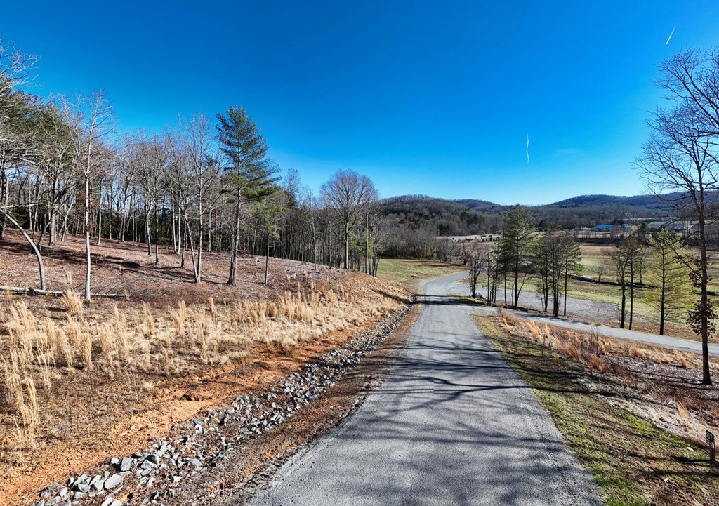 Lot 2 Ridges Of Blue Ridge