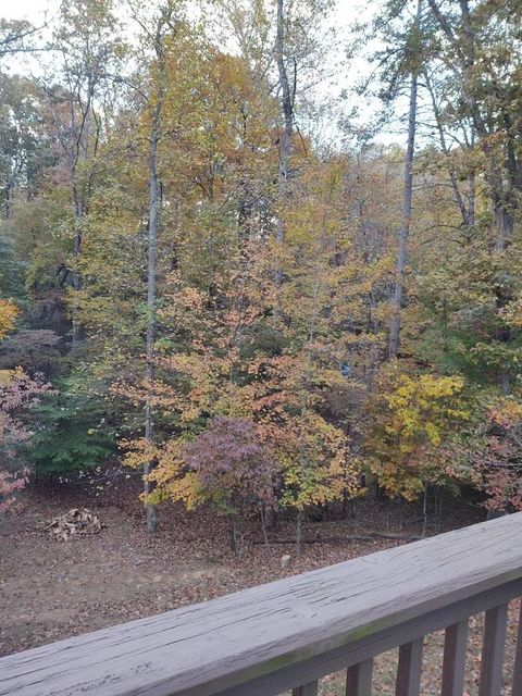 A home in Ellijay