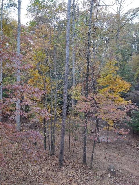 A home in Ellijay