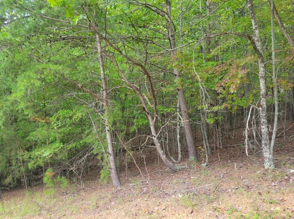 Lot 22B Longview Drive