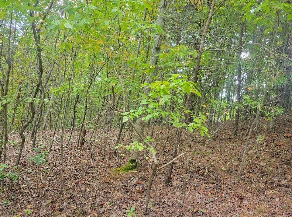 Lot 22B Longview Drive