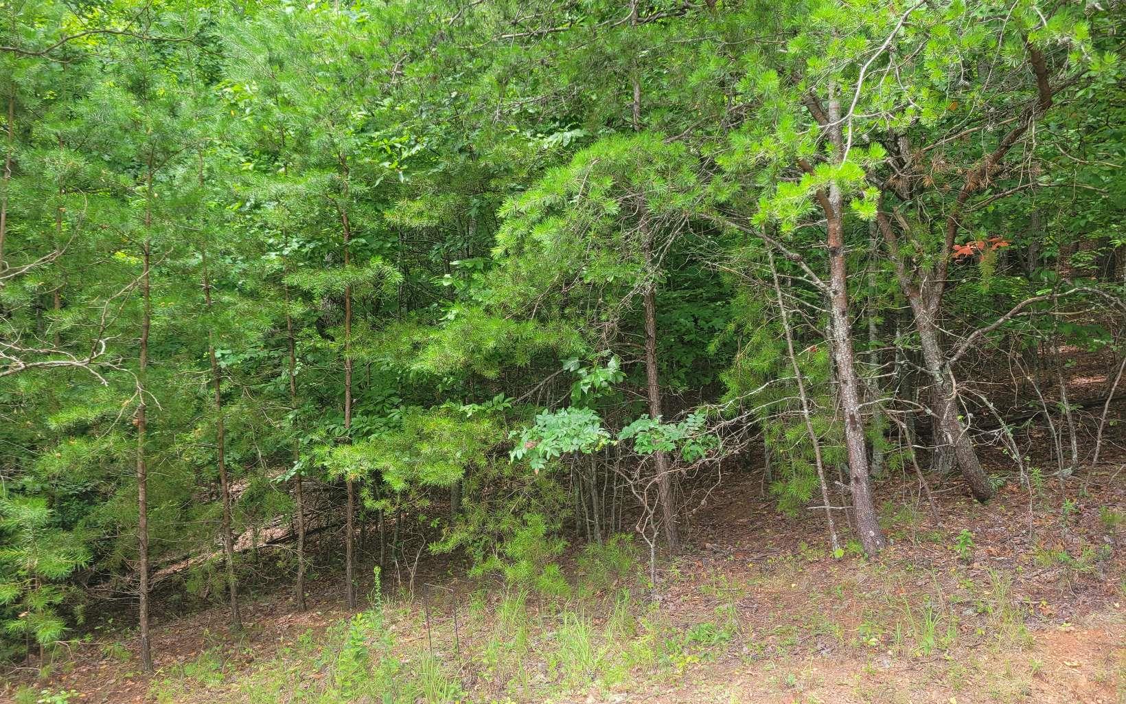 Lot 22B Longview Drive