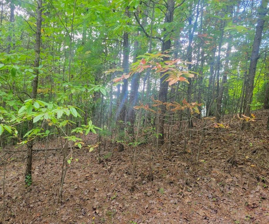 Lot 22B Longview Drive