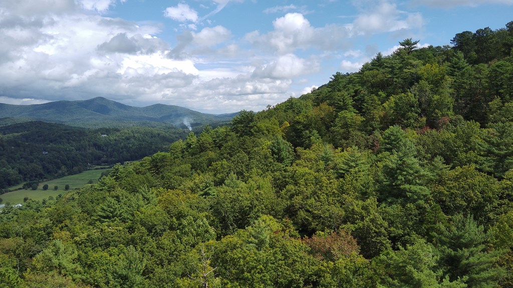 Lot 5 Sequoia Hills Ln