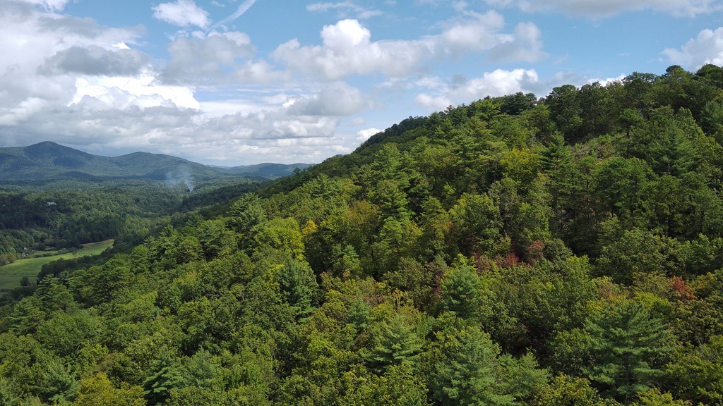 Lot 5 Sequoia Hills Ln