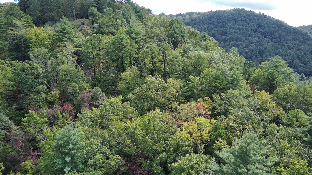 Lot 5 Sequoia Hills Ln