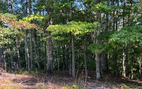 LT 60 Honeysuckle Way