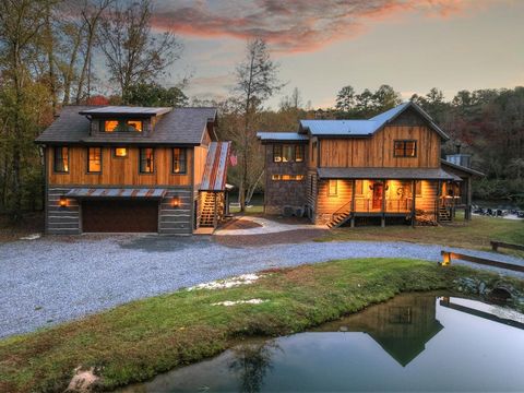 737 Wildwood Trail Mineral Bluff GA 30559