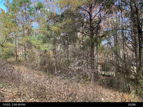 401 Southern Road Ellijay GA 30540