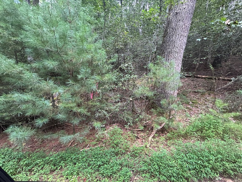 Tract 1B Praise The Lord Lane