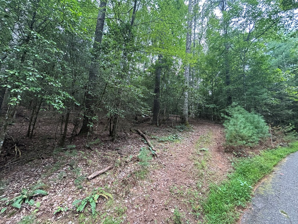 Tract 1B Praise The Lord Lane