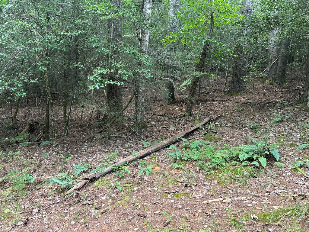 Tract 1B Praise The Lord Lane