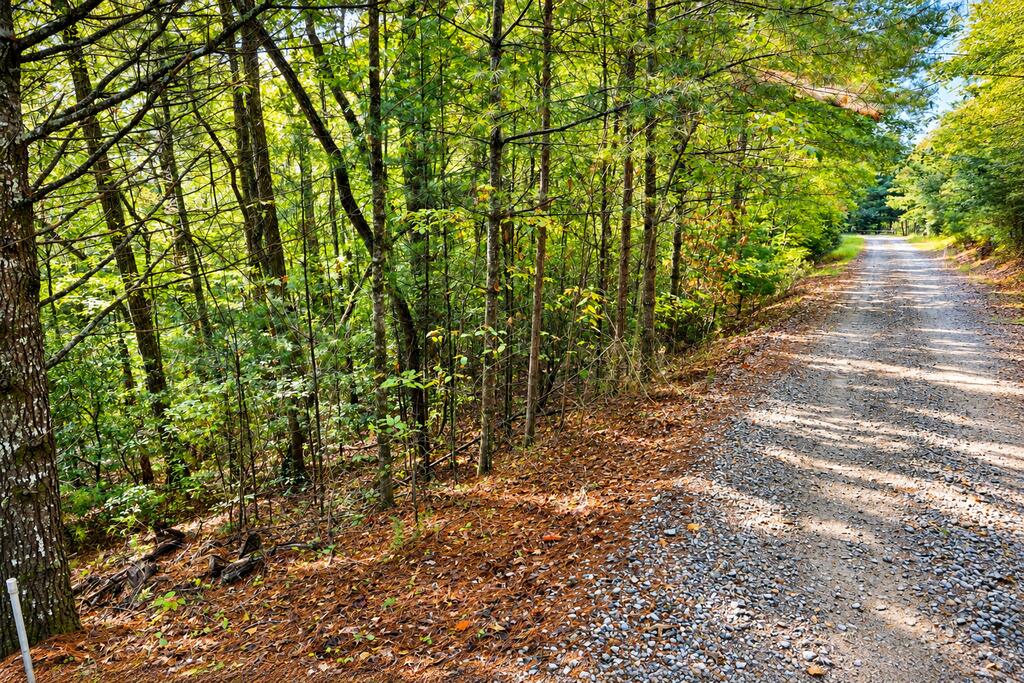 Lot 12 Hillbilly Holler