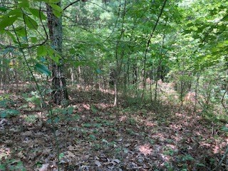 LT 797 Woodbine Lane