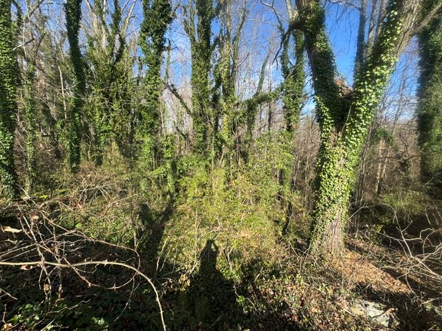 .90 acre Highland Street