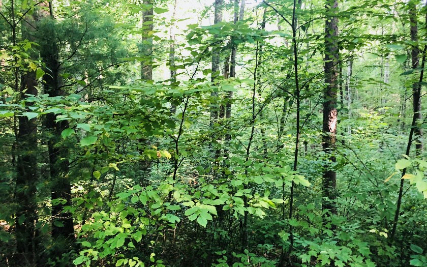 99/98 Hi River Country