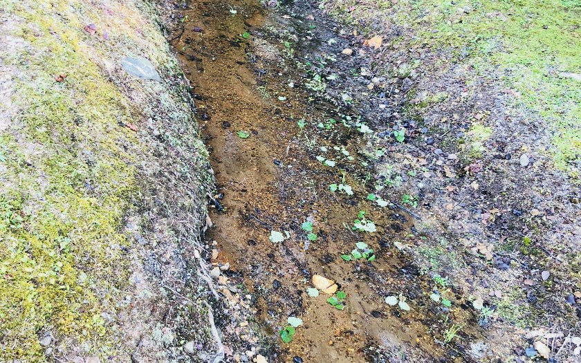 99/98 Hi River Country