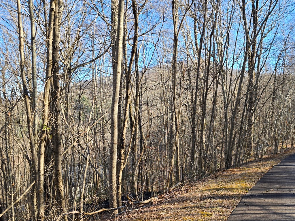 Lot #5 Overlook At Y.H.