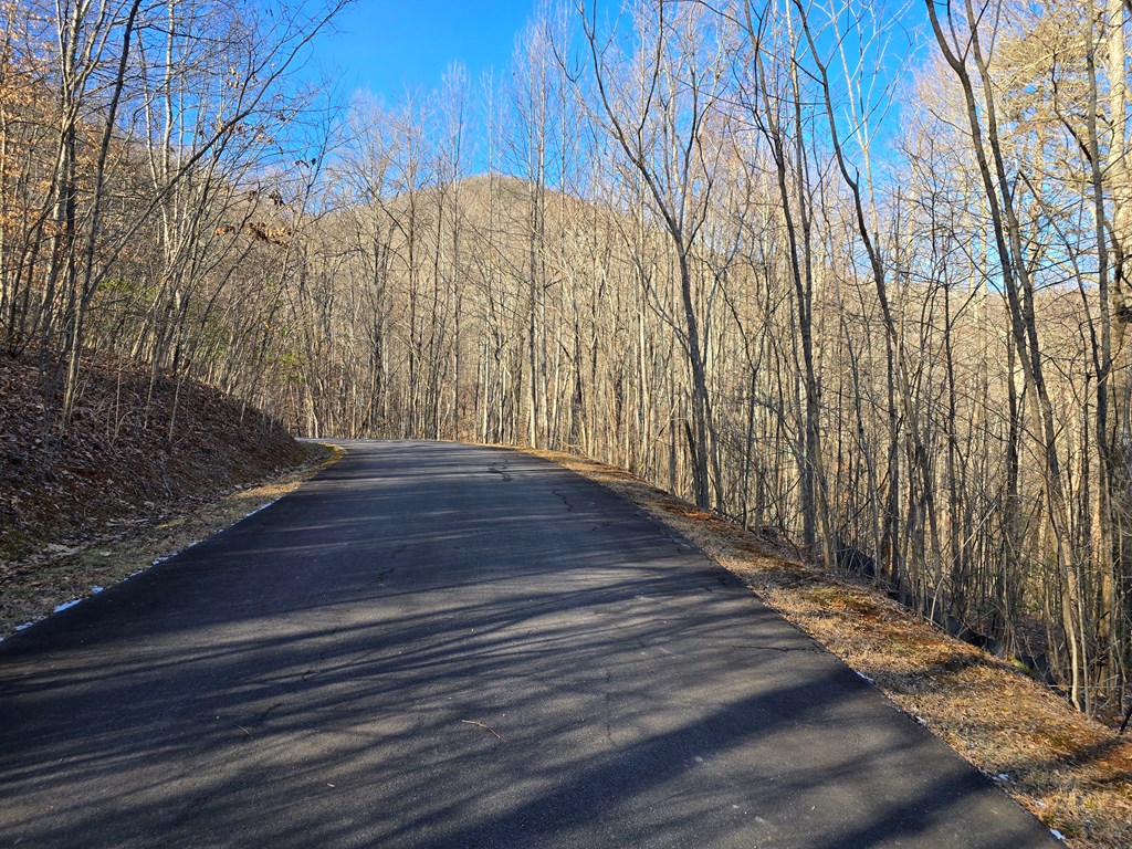 Lot #5 Overlook At Y.H.