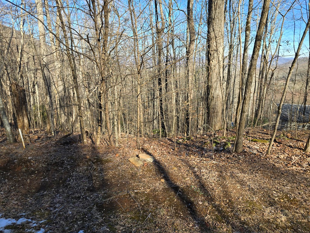 Lot #5 Overlook At Y.H.