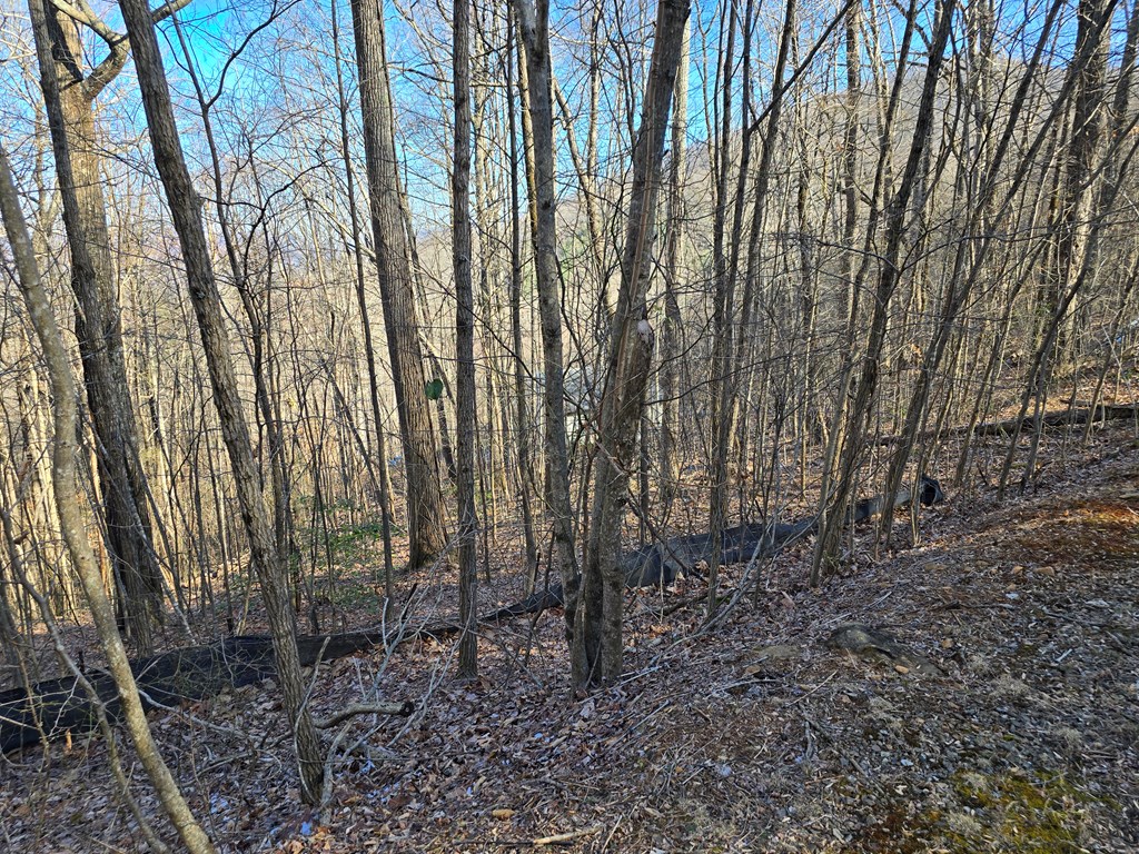 Lot #5 Overlook At Y.H.