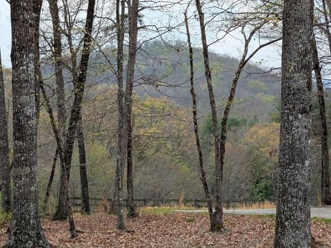 12 Daisy Drive Brasstown NC 28902