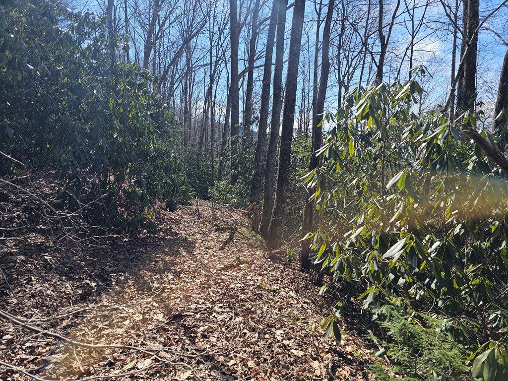 Lot 16 Warrior Way