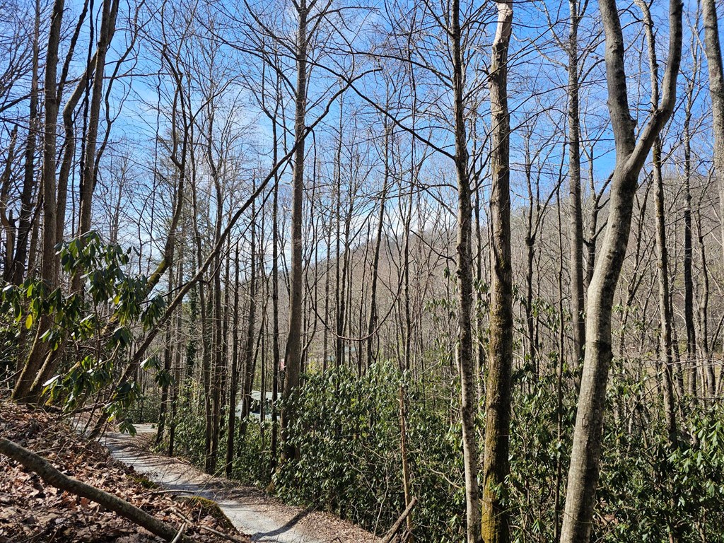 Lot 16 Warrior Way
