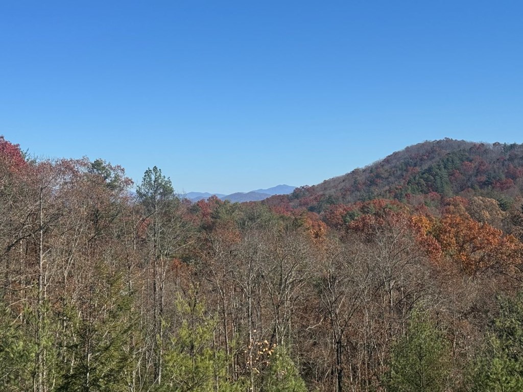 687 Point Overlook Trail