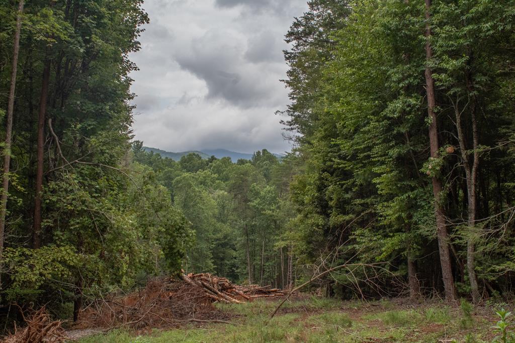Lot 1 Big Creek