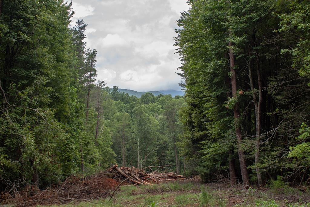 Lot 1 Big Creek