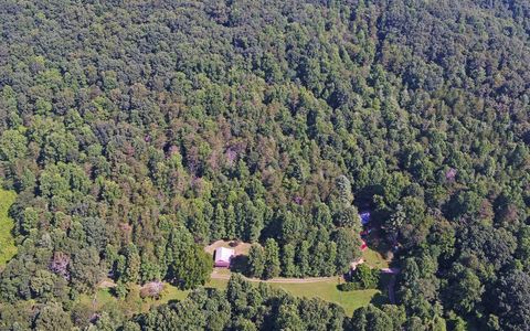 A home in Blue Ridge